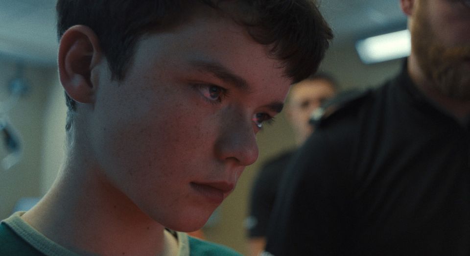 Streaming Platforms Are Creating New Communities for Film Fans