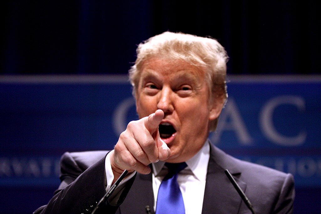 Trump, UFC, and 20,000 Fans: Title Fight on the White House Lawn?