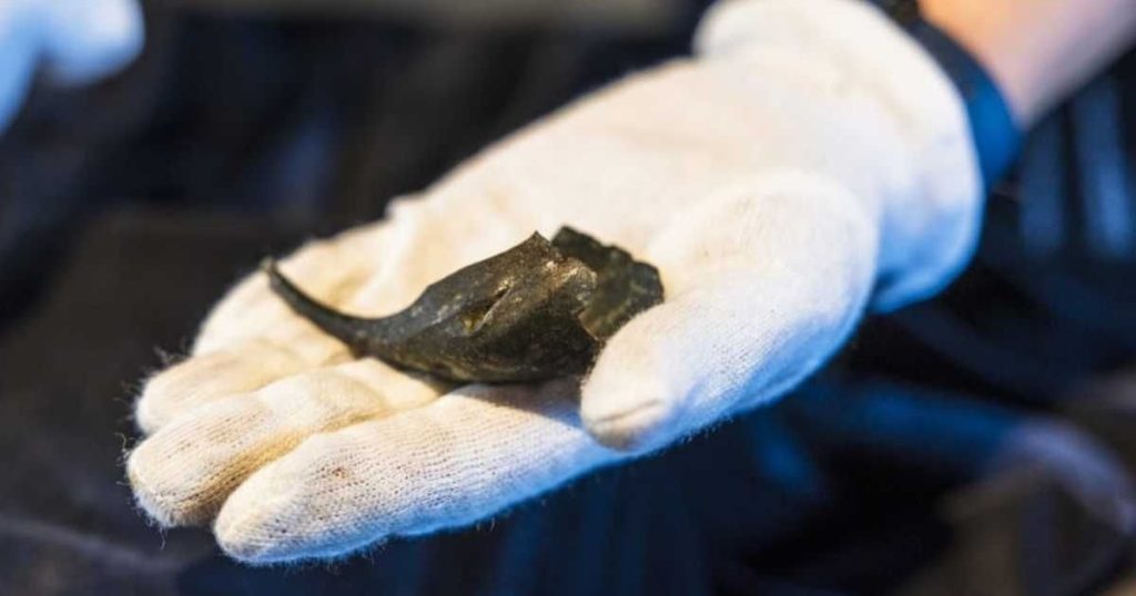 Roman Soldier’s Pouch Found in Czech Republic – Complete With Cash for War Logistics